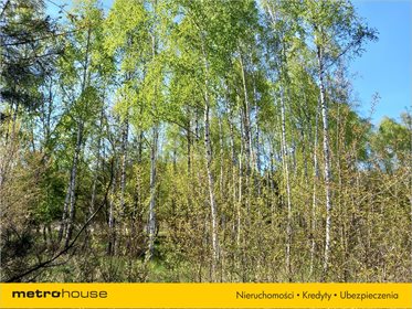 Działka budowlana na sprzedaż Białe Błoto, Dobroszyce 3 087m2 Foto 3