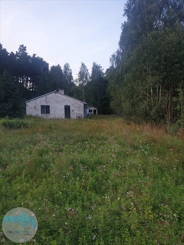Działka budowlana na sprzedaż Biele 6 900m2 Foto 4