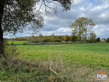 Działka rolna 15 825 m² Gostyń - dostęp do drogi i linia energii działka Gostyń, gostyń