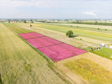 Spokój Longinówki. Wygoda Piotrkowa. działka Longinówka