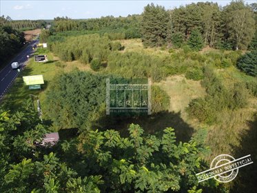 Działka inwestycyjna 22 098 m² z planem zjazdu - polecam! działka Zielona Góra