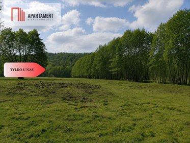 Działki rolne z dostępem do rzeki i lasów w Żabnie działka Żabno