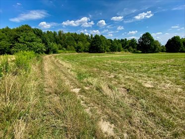 Działka rolna na sprzedaż Łódź, Bałuty, Nowe Moskule, Strykowska 19 996m2 Foto 5
