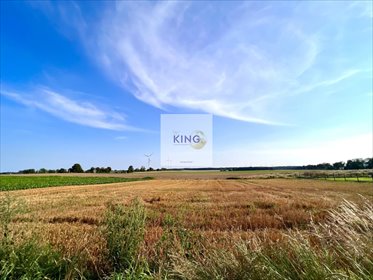 Działka budowlana 1380 m2 z mediami, spokojna okolica działka Lubanowo