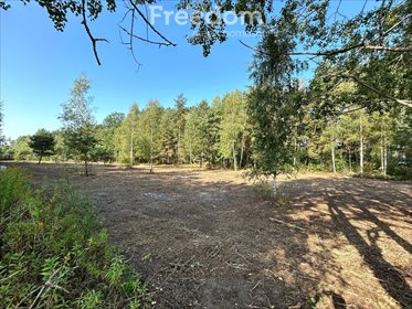 działka na sprzedaż 6000m2 działka Glinianka