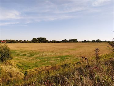 działka na sprzedaż 9210m2 działka Drewnica, Stegna
