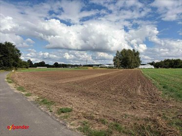 działka na sprzedaż 4180m2 działka Kalisz
