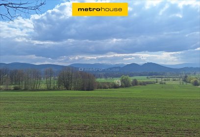 działka na sprzedaż 3052m2 działka Janowice Wielkie, Spacerowa