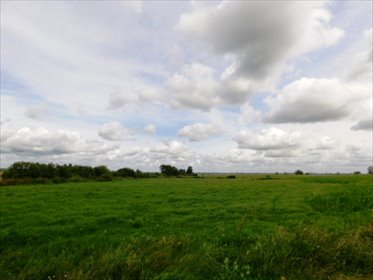 Duża działka rolna 9,29 ha z dojazdem asfaltowym. działka Szczepanki