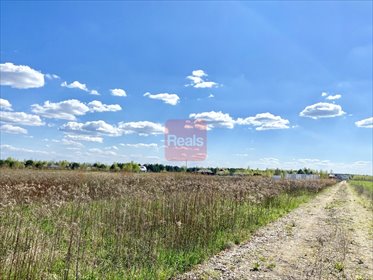 działka na sprzedaż 1300m2 działka Kaliszki