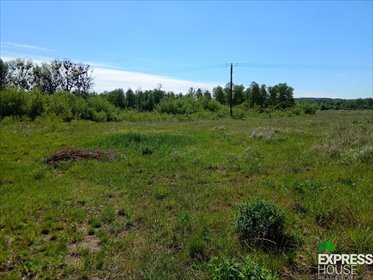 działka na sprzedaż 7929m2 działka Jurowce, Wasilkowska