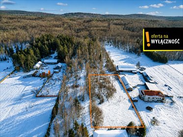 Działka budowlana 3125 m² w Lechowie – spokojna okolica działka Lechów