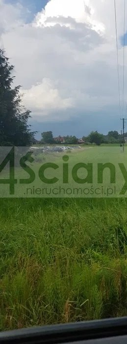 Działka 3990 m² z pełnym uzbrojeniem - polecam działka Bieniewice