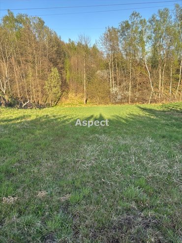 działka na sprzedaż 2400m2 działka Jastrzębie-Zdrój