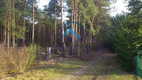 Działka leśna 12 124 m² - blisko Narwi i Puszczy Białej działka Stawinoga