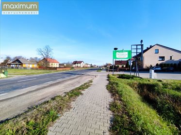 Działka budowlana na sprzedaż Aleksandrów 2 846m2 Foto 4