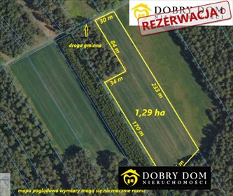 Duża działka rolna 12 900 m², idealna pod inwestycję działka Dobrzyniewo Duże