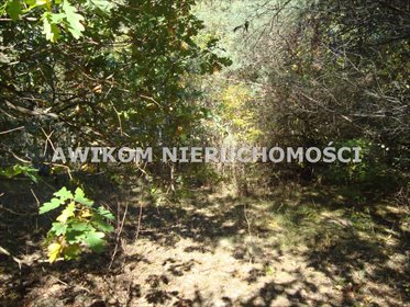 Działka 26 900 m² pod inwestycję z mediami - polecam działka Lutkówka Druga