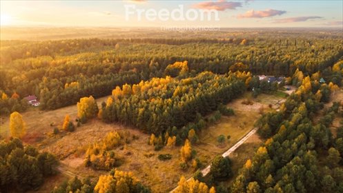 Działka 9179 m² z lasem i zabudową w Janowie - polecam! działka Śmiertny Dąb, Zielona