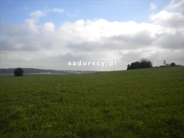 Działka rolna na sprzedaż Gołyszyn 28 520m2 Foto 6