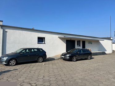 lokal użytkowy na wynajem 260m2 lokal użytkowy Koszalin, Szczecińska