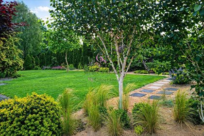 dom na sprzedaż 200m2 dom Złotoria