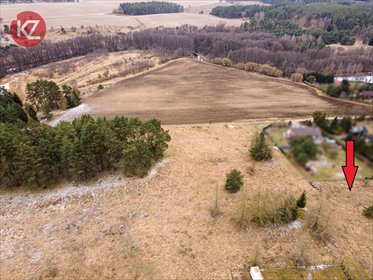 Działka rekreacyjna na sprzedaż Czapla 585m2 Foto 4