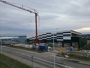 magazyn na wynajem 390m2 magazyn Rzeszów, Dworzysko, biznesowa