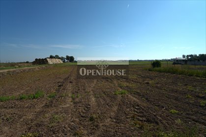 działka na sprzedaż 1007m2 działka Słone