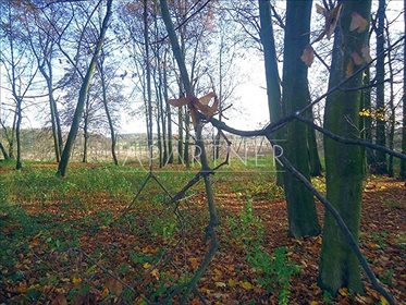 Lokal użytkowy na sprzedaż Lubiatów 1 100m2 Foto 5