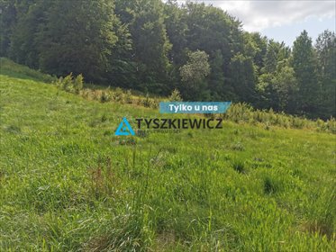 działka na sprzedaż 2995m2 działka Trzepowo, Cystersów