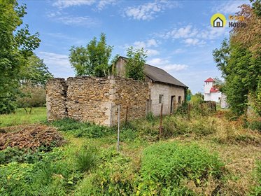 Działka 7700 m² w Brudzowie - spokojna okolica i media działka Brudzów