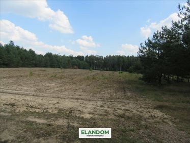 Działka inwestycyjna na sprzedaż Domaszew 7 600m2 Foto 3