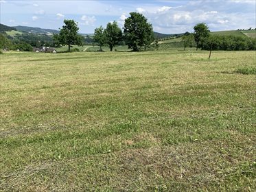 Działka budowlana na sprzedaż Żbikowice 1 226m2 Foto 6
