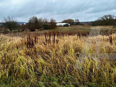 działka na sprzedaż 6700m2 działka Chojna