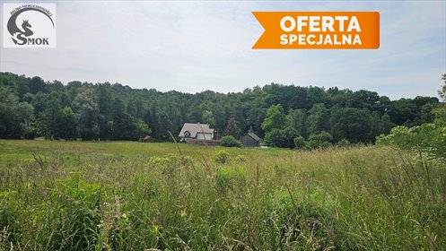 Działka rolna z mediami, las, spokojna okolica działka Owczary