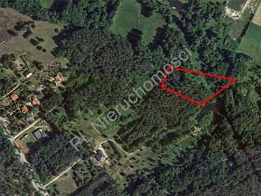 Działka 6263 m² z lasem i dostępem do stawu - polecam działka Marynin