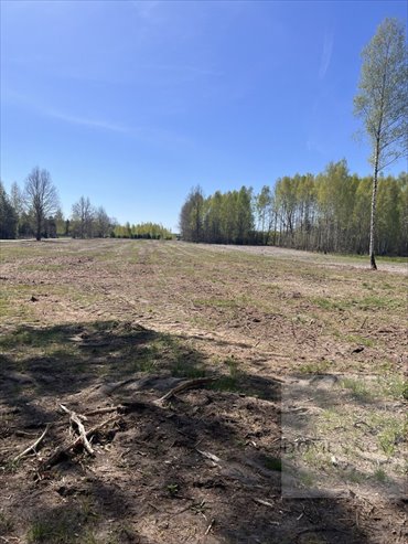 Działka budowlana 1000 m² w Czarnocinie - szybka inwestycja działka Czarnocin