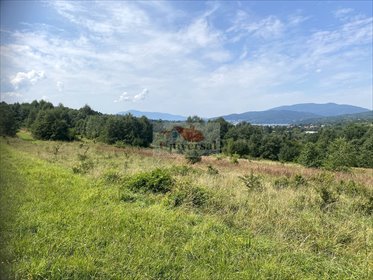 działka na sprzedaż 5606m2 działka Rychwałd, Rychwałd, Uwale