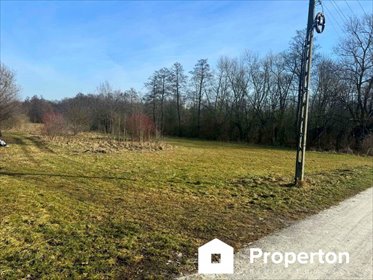 Działka 6608 m² z mediami - zabudowa i rekreacja działka Opole Lubelskie, Dolna