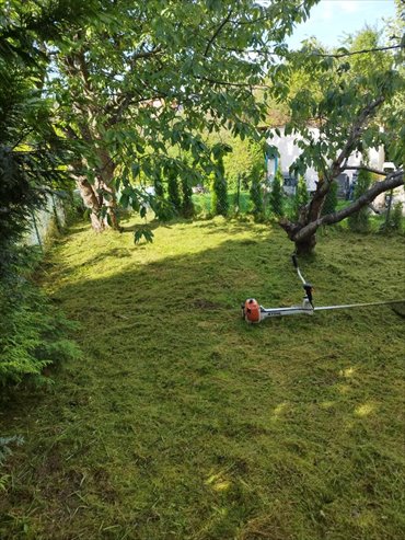 Do sprzedania działka 420 m² z drzewami i domkiem w Gdańsku działka Gdańsk, Siedlce, Cedrowa