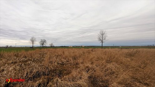 Działka budowlana 4300 m² z mediami w Kunicach działka Kunice