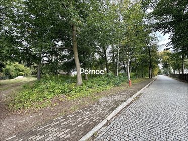 działka na sprzedaż 1354m2 działka Świętoszów, Koszarowa