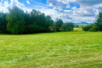 Działka z lasem i widokiem na góry - 3582 m2. działka Ślemień, Osiedlowa