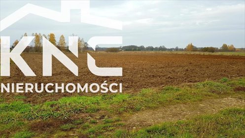 działka na sprzedaż 5500m2 działka Samoklęski