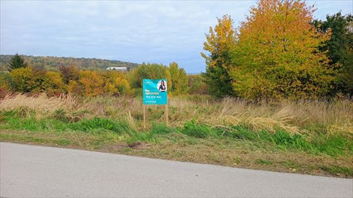 działka na sprzedaż 11000m2 działka Mąchocice Kapitulne