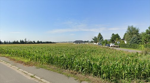 działka na sprzedaż 1440m2 działka Żelazków, Pólko