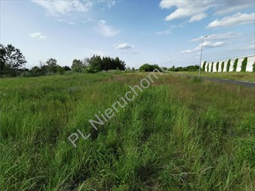 działka na sprzedaż 3053m2 działka Michałowice-Wieś