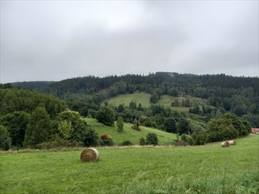 działka na sprzedaż 3009m2 działka Ludwikowice Kłodzkie