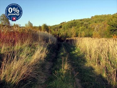 działka na sprzedaż 5400m2 działka Wola Rafałowska, Wola Rafałowska, Wola Rafałowska